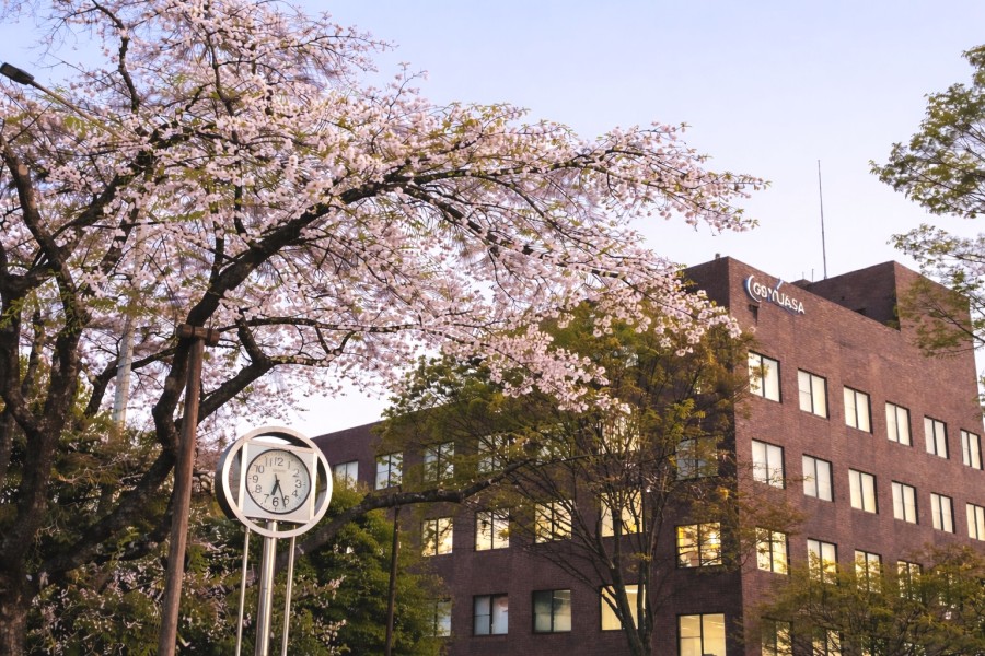 �ʐ^�F�{�Ђ̍��̗l�q