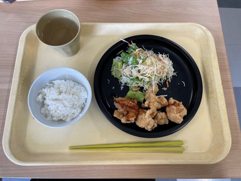 �ʐ^�F�f�r���A�T�̐H��